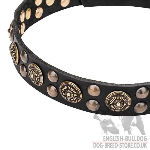 English Bulldog Collar UK