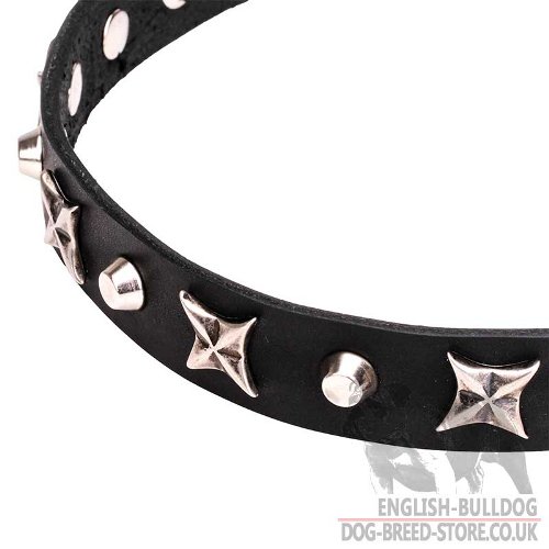 English Bulldog Collar UK