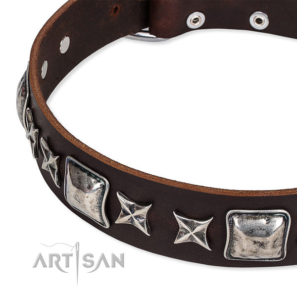 English Bulldog Collar UK