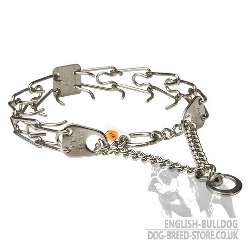 English Bulldog Collar UK, Prong