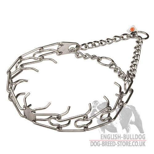 English Bulldog Collar UK, Prong