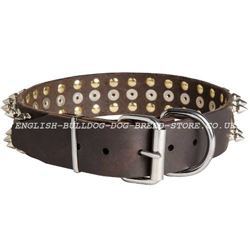 English Bulldog Collars UK