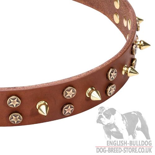 English Bulldog Collar UK