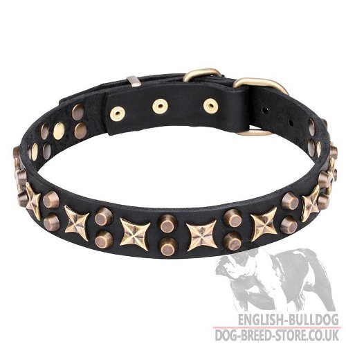 English Bulldog Collar with Stars
