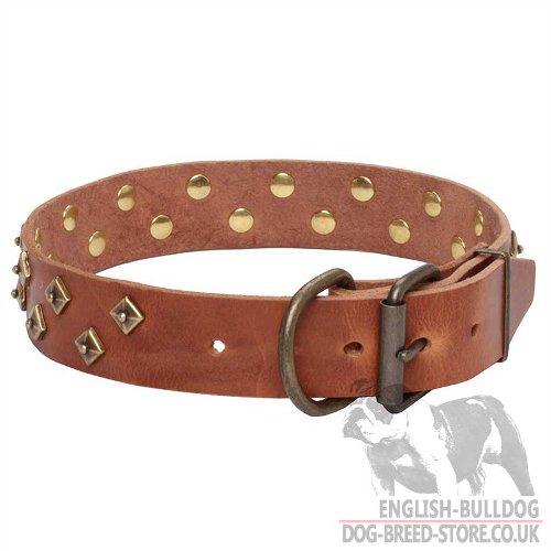 English Bulldog Collars for Sale