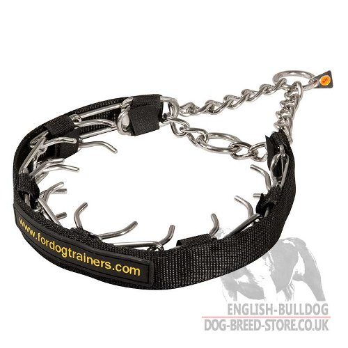 English Bulldog Collars, Prong with Cover