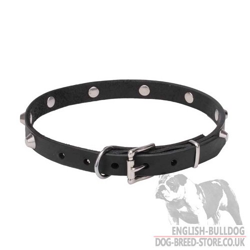 Dog Collars Necklace UK