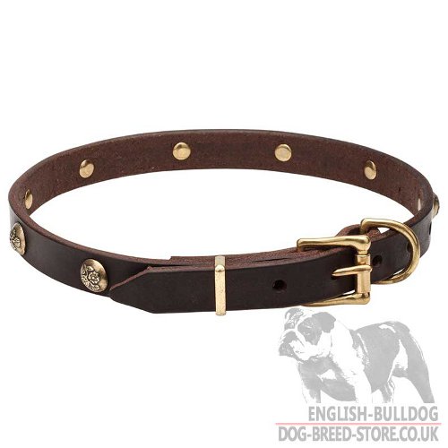 Cute Dog Collars