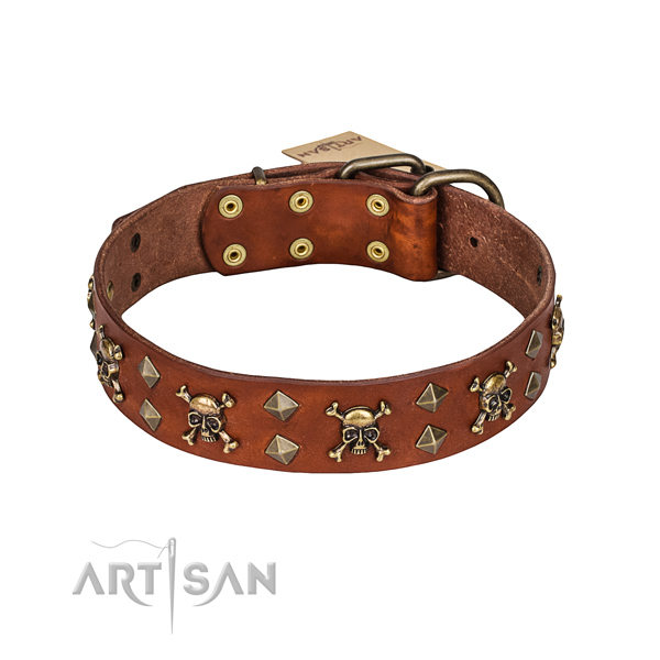 English Bulldog Dog Collar