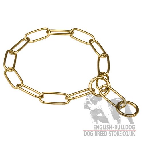 Brass Chain Dog Collars