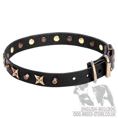 English Bulldog Dog Collar