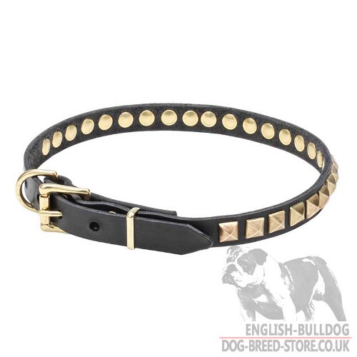 Dog Collar Necklace