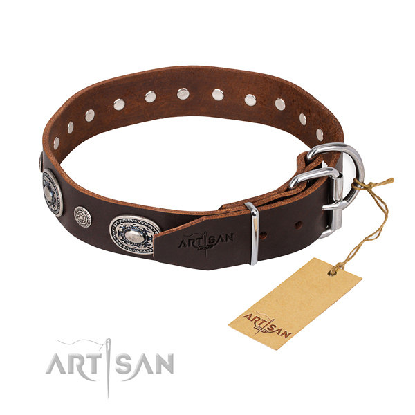 English Bulldog Dog Collar