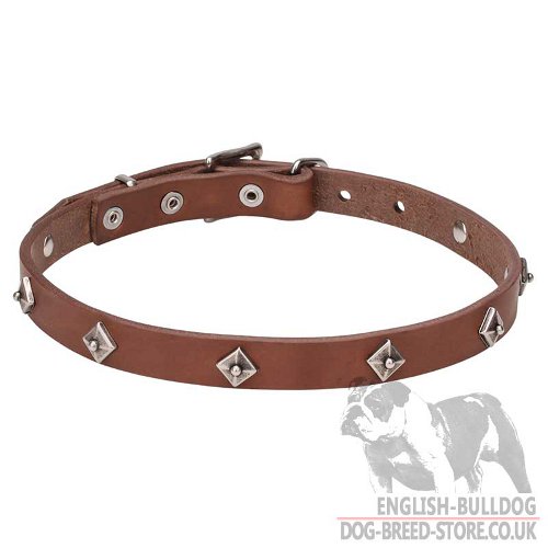 Dog Collar Stars