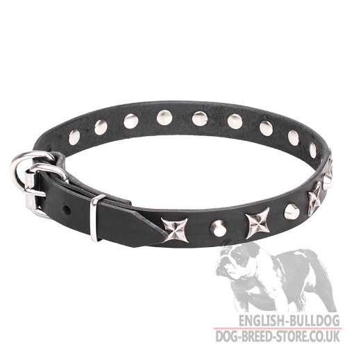 English Bulldog Dog Collar