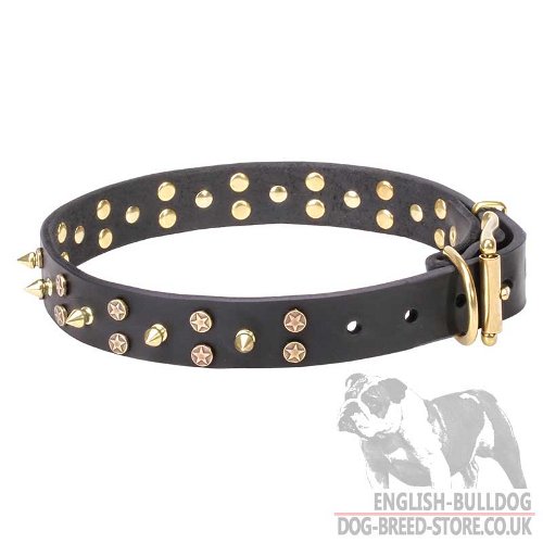 English Bulldog Dog Collar