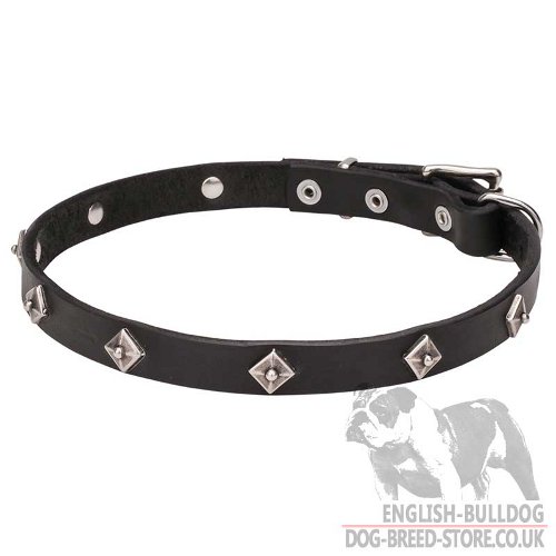 Dog Collar with Stars