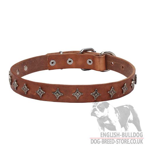 Dog Collar with Stars