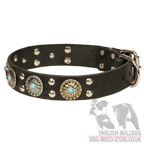 Dog Collar with Stones