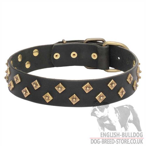 English Bulldog Leather Collar