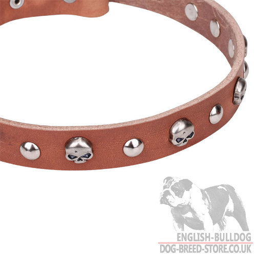 English Bulldog Leather Collar