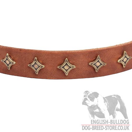 Dog Collar Stars