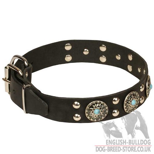 Dog Collar with Turquoise Stones