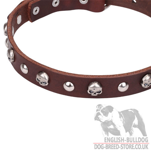 English Bulldog Leather Collars