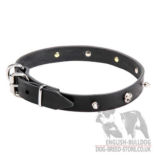 Leather Pirate Dog Collar