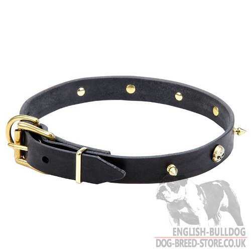 Pirate Collar for Dogs