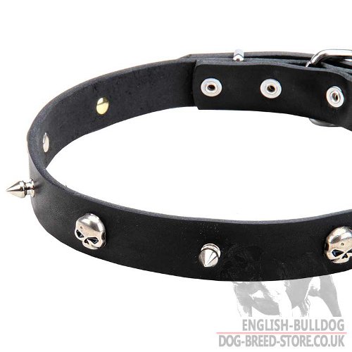 Pirate Dog Collar UK