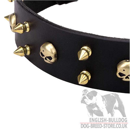 Punk Rock Dog Collars