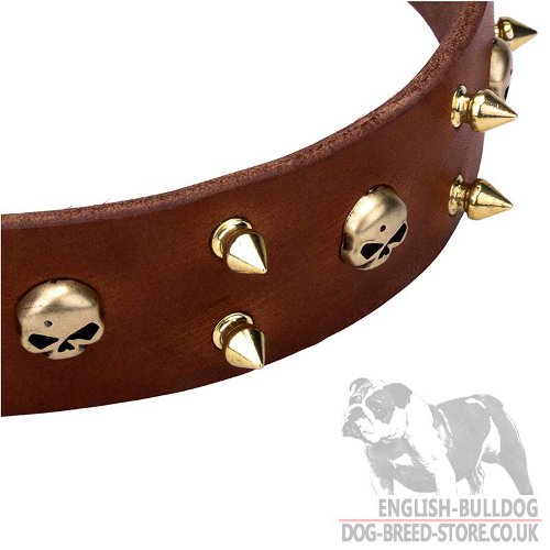 Rockstar Dog Collar