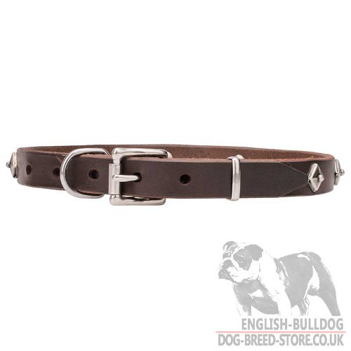 Star Dog Collars