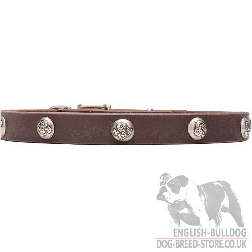 Thin Leather Dog Collars