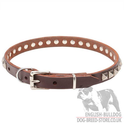 Thin Leather Dog Collars UK