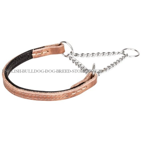 English Bulldog Training Collar