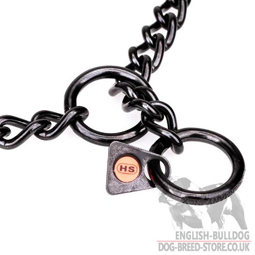 English Bulldog Training Collar UK