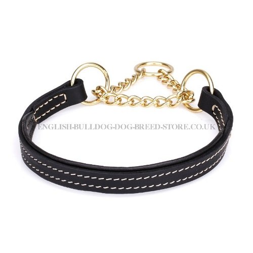 English Bulldog Training Collar