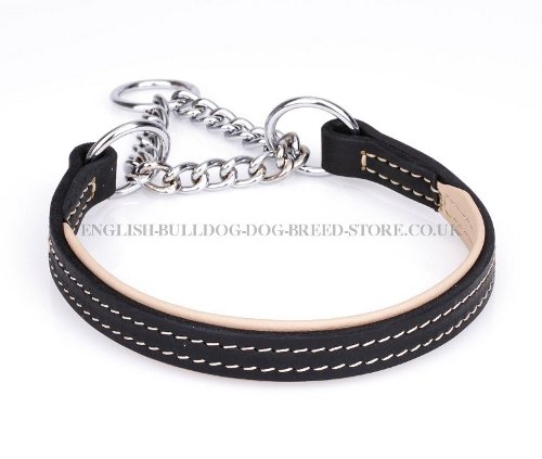 English Bulldog Training Collar