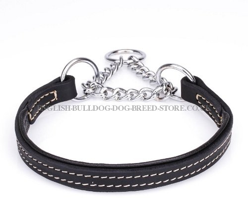 English Bulldog Training Collar