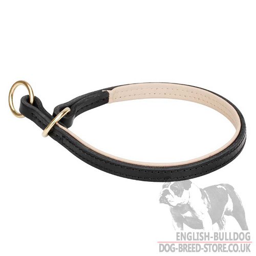English Bulldog Training Collar