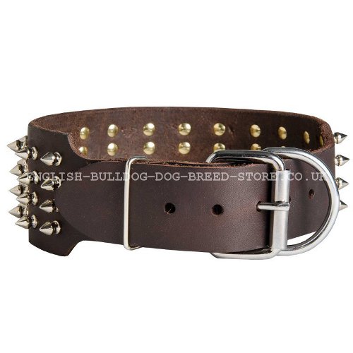 Extra Wide Spiked Dog Collar UK