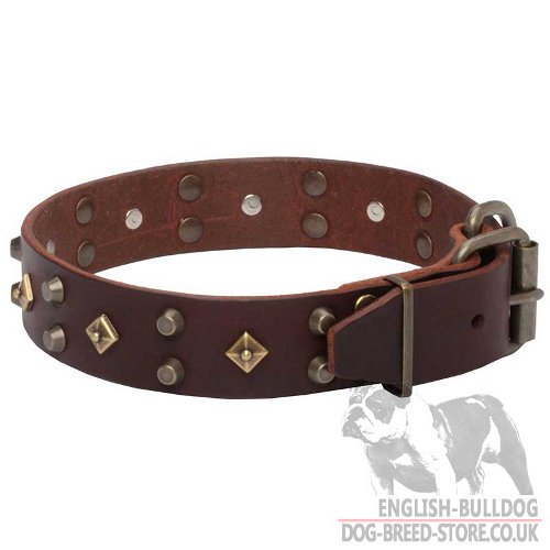 Fashion Dog Collars