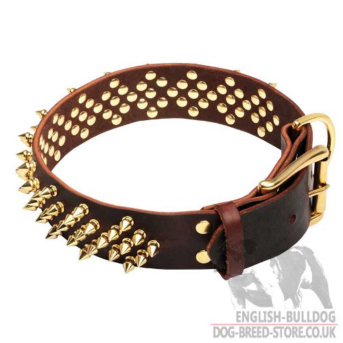 Gold Spiked Dog Collar