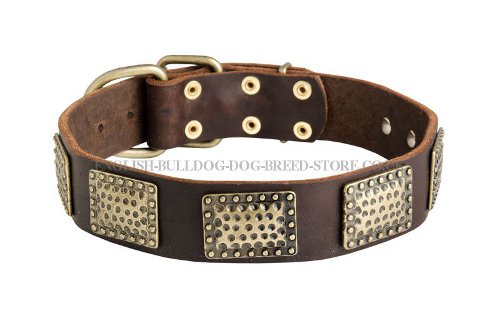 Large Dog Collar for Bullmastiff UK