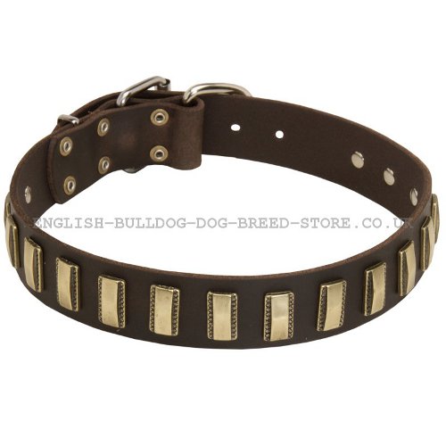 Leather Bulldog Collar UK