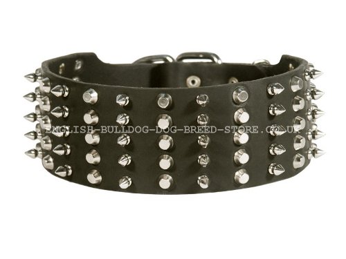 Leather Bulldog Collar UK