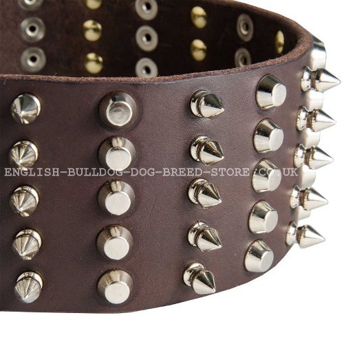 Leather Bulldog Collars UK