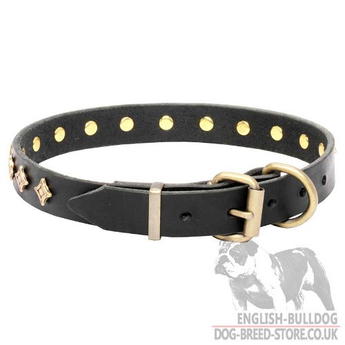 Dog Collar with Stars